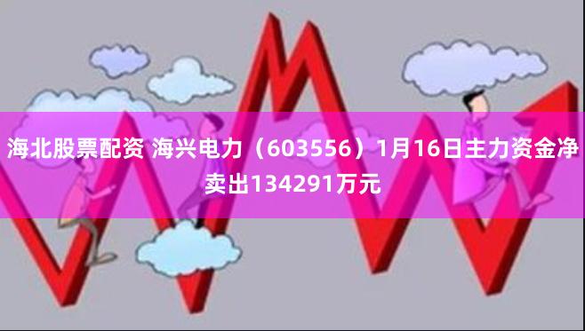海北股票配资 海兴电力（603556）1月16日主力资金净卖出134291万元