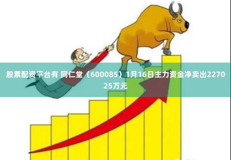 股票配资平台有 同仁堂（600085）1月16日主力资金净卖出227025万元