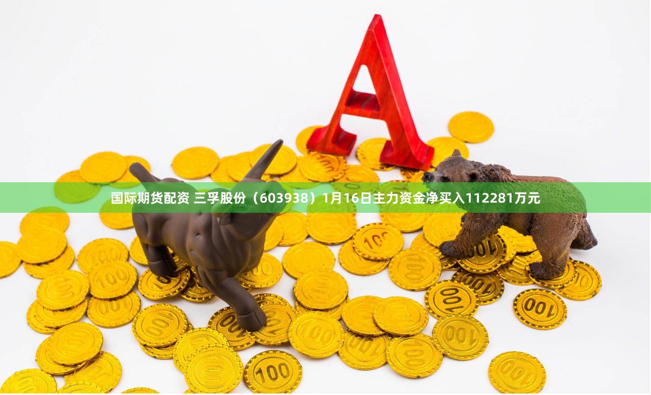 国际期货配资 三孚股份（603938）1月16日主力资金净买入112281万元