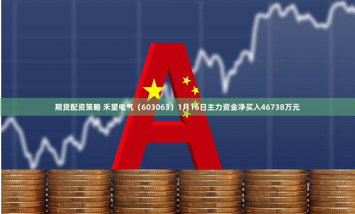 期货配资策略 禾望电气（603063）1月16日主力资金净买入46738万元