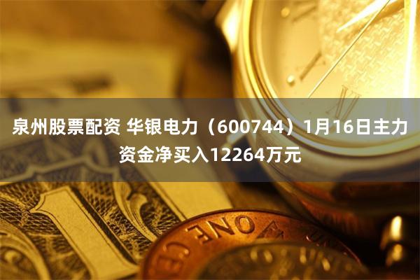 泉州股票配资 华银电力（600744）1月16日主力资金净买入12264万元