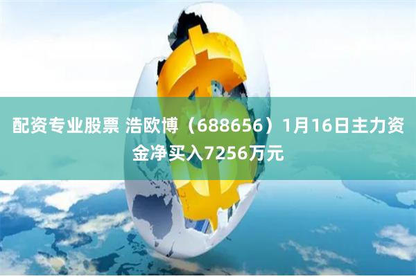 配资专业股票 浩欧博（688656）1月16日主力资金净买入7256万元