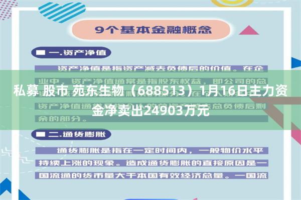 私募 股市 苑东生物（688513）1月16日主力资金净卖出24903万元