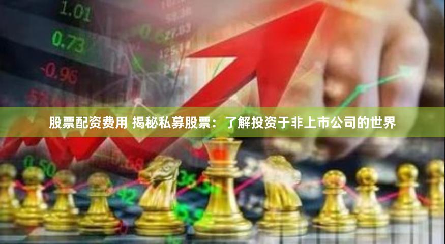 股票配资费用 揭秘私募股票：了解投资于非上市公司的世界